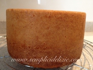 Torta Panna (base perfetta per torte decorate)
